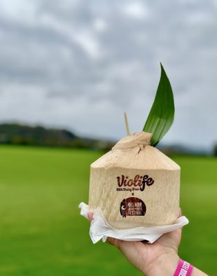 Del Mar Wine + Food Festival by null