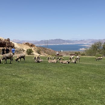 Hemenway Valley Park - Recreation Centers Near Me - Boulder City, Nevada