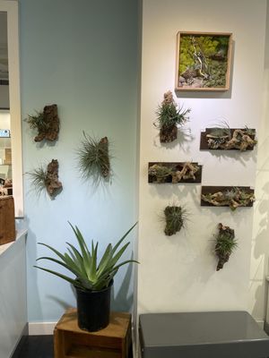 Plant'd by null