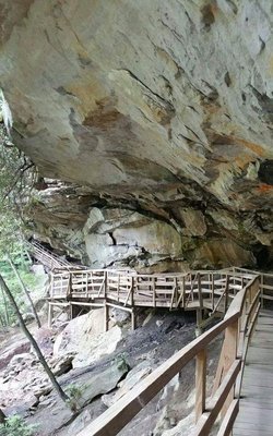 Audra State Park by null