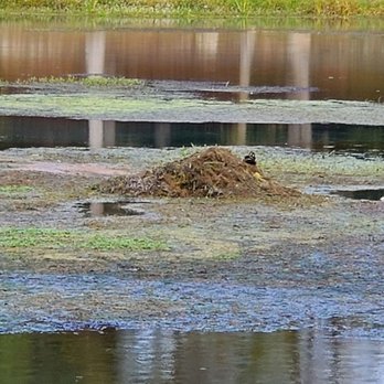 Mammoth Spring State Park - Parks Near Me - Mammoth Spring, Arkansas