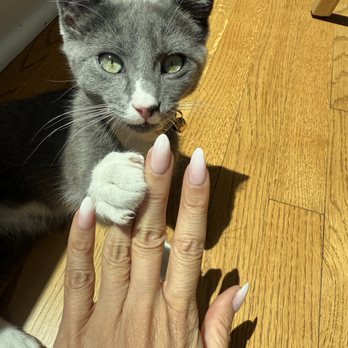 Bloomingnail's - Updated ombre by Tina. Much better! - Nail Salons Near Me - Tiburon, California Bloomingnail's - Updated ombre by Tina. Much better! - Nail Salons Near Me - Tiburon, California