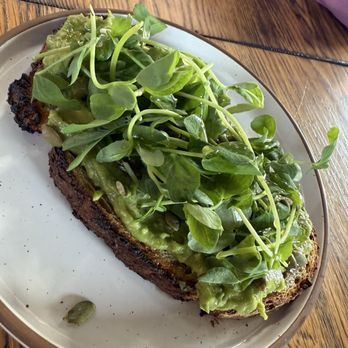 Cat & Cloud Coffee - Avocado - Coffee & Tea Near Me - Santa Cruz, California