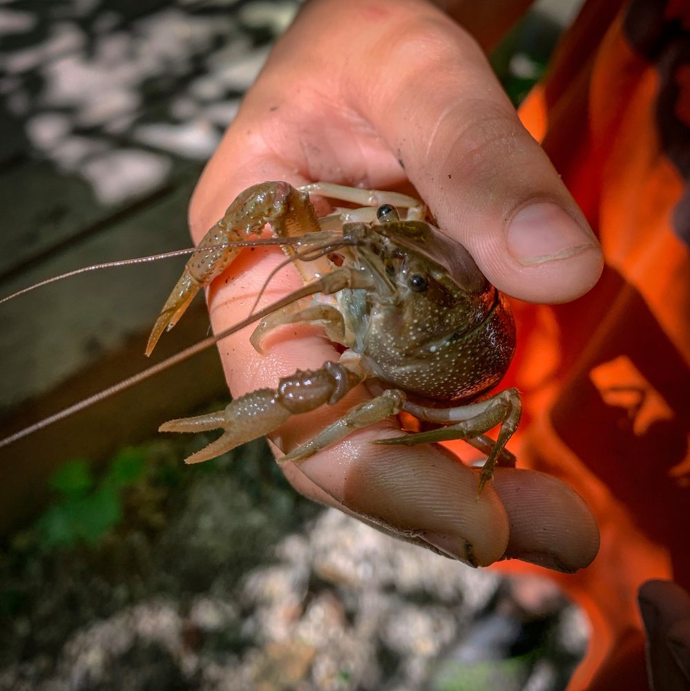 FALK PARK Updated August 2024 25 Photos 2013 W Rawson Ave, Oak