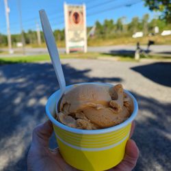 Mainely Custard - Pumpkin!