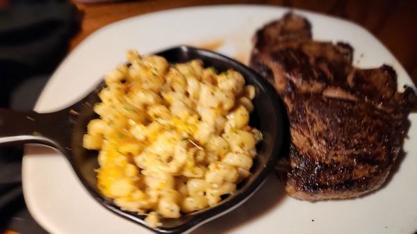 Outback Steakhouse by null