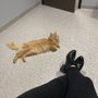 Photo of Orion Animal Hospital