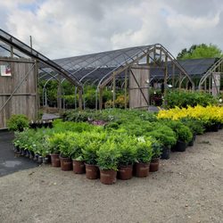 Northside Garden Center