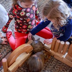 DIG Childhood Center - Classroom Pets