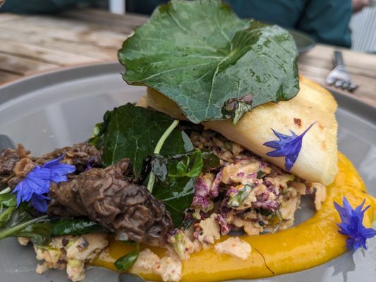 Oystercatcher by null