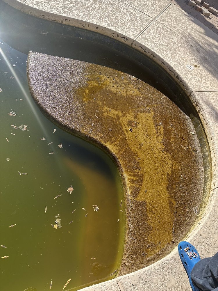 Slide of White Water Pool Care & Repair