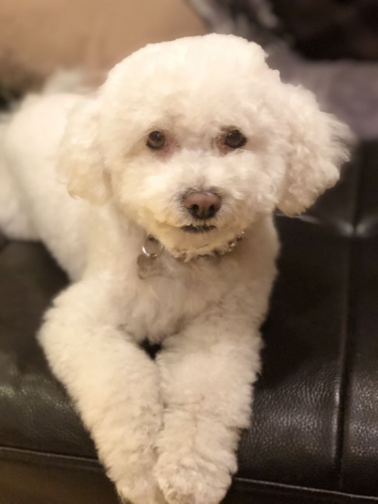 DOG HOUSE & BIRD HOUSE 83 Photos & 147 Reviews 5742 Lankershim Blvd