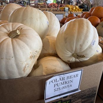 Cedar Market Ranch - Pumpkins - Farmers Market Near Me - Dallas, Texas Cedar Market Ranch - Pumpkins - Farmers Market Near Me - Dallas, Texas
