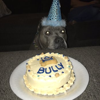 Dexter's Deli - Birthday Boy! - Pet Stores Near Me - Carlsbad, California Dexter's Deli - Birthday Boy! - Pet Stores Near Me - Carlsbad, California