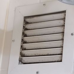 The shower vent...