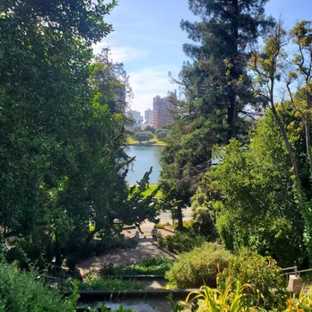 Cleveland Cascade - View of lake merritt and greenery - Parks Near Me - Oakland, California