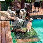 Photo of Paradise Ranch Pet Resort