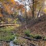 Glen Stewart Ravine