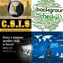 Corporate Security Intelligence Services