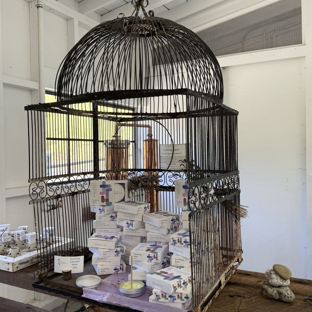Point Reyes Lavender - Point Reyes Lavender Company - Cosmetics & Beauty Supply Near Me - Point Reyes Station, California Point Reyes Lavender - Point Reyes Lavender Company - Cosmetics & Beauty Supply Near Me - Point Reyes Station, California