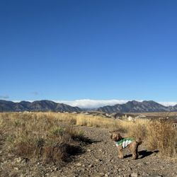 Lisa Gallegos - Denver Dog Training - Hidden gem! Lisa shared this spot with me at one of our sessions!