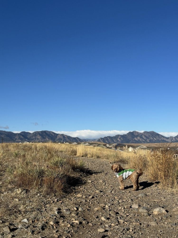 Lisa Gallegos - Denver Dog Training - pet boarding facility in Denver, CO