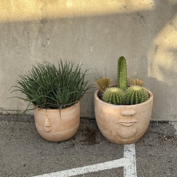 Hopsquad Brewing - Cute plants - Breweries Near Me - Austin, Texas