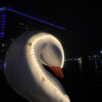 Hyatt Regency Long Beach - You have to do the Swan ride it's so much fun and you can fit for adults in them! - Hotels Near Me - Long Beach, California Hyatt Regency Long Beach - You have to do the Swan ride it's so much fun and you can fit for adults in them! - Hotels Near Me - Long Beach, California