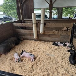 Howard County Fairgrounds