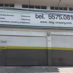 A Dog Company