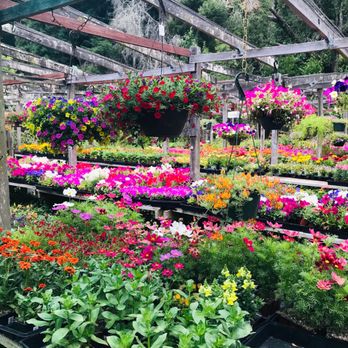 Plant Works - Nurseries & Gardening Near Me - Ben Lomond, California