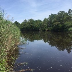 Princess Anne Wildlife Management Area