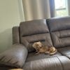 Skero's Furniture and Mattress Center gift card