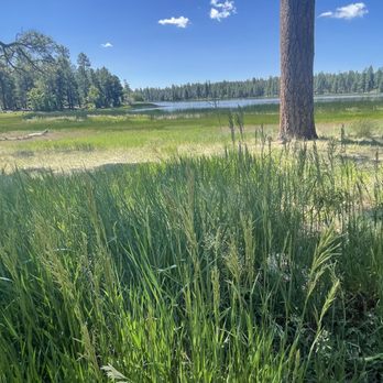 White Horse Lake Campground - White horse lake - Campgrounds Near Me White Horse Lake Campground - White horse lake - Campgrounds Near Me