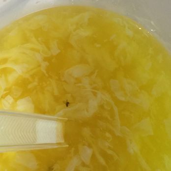 China Wong - Bug in Egg drop soup - Chinese Near Me - Liverpool, New York China Wong - Bug in Egg drop soup - Chinese Near Me - Liverpool, New York