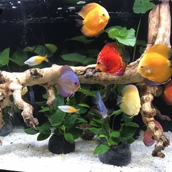 Pet Supreme - Pet Stores Near Me - Sylmar, California Pet Supreme - Pet Stores Near Me - Sylmar, California