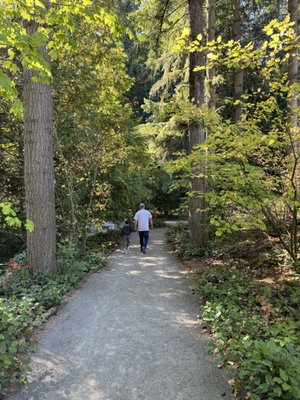 Rhododendron Species Botanical Garden by null