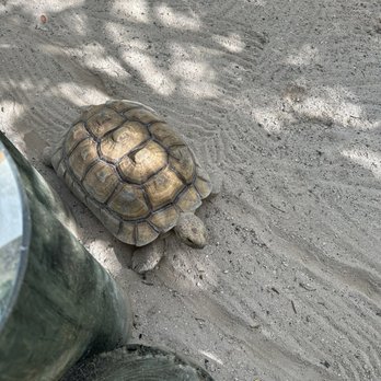 Florida Keys Aquarium Encounters - Aquariums Near Me - Marathon, Florida