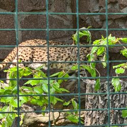 Tierpark Dessau Lehrpark f. Tier- und Pflanzenkunde