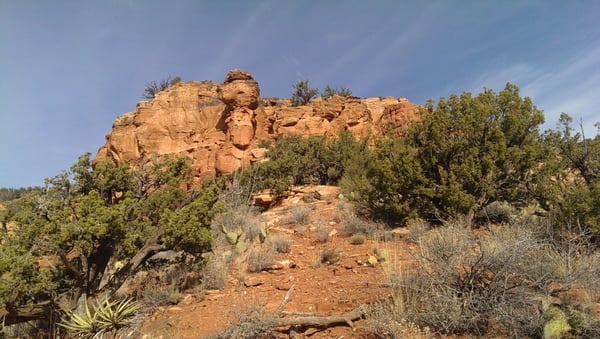 Bear Mountain Trail by null