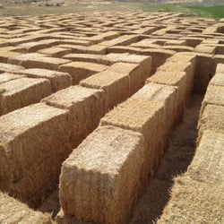 Burley Straw Maze - Straw Maze 2012