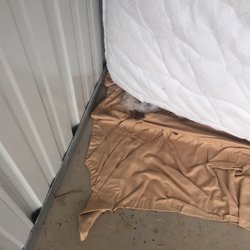 Blanding Hardware & Bldg Supls - Rat infestation, which damaged the property that I stored at Blanding.