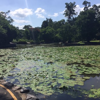 Brisbane Botanical Gardens - Parks Near Me - Toowong, QLD