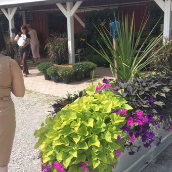 Reesor's Farm Market - Farmers Market Near Me - Markham, Ontario