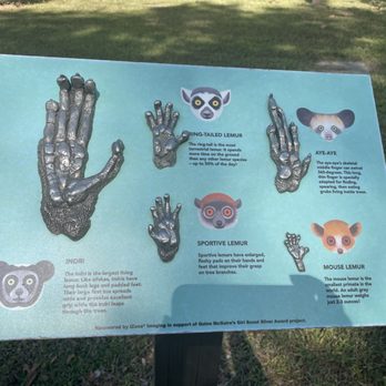 Duke University Lemur Center - Sign - Zoos Near Me - Durham, North Carolina