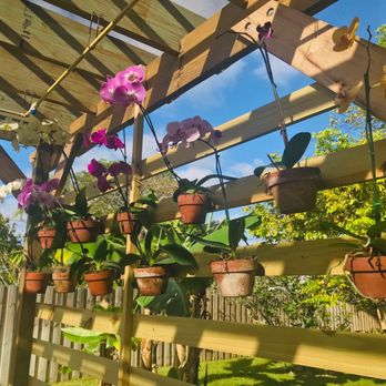 LH Craft & Consulting - Plenty of space for orchids - Carpenters Near Me LH Craft & Consulting - Plenty of space for orchids - Carpenters Near Me