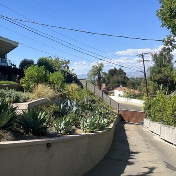 Inexpensive Tree Services - Tree Services Near Me - Los Angeles, California Inexpensive Tree Services - Tree Services Near Me - Los Angeles, California