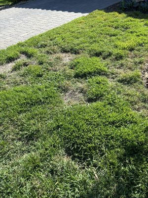 BIG EARTH LANDSCAPE SUPPLY - Updated February 2026 - 14 Photos - 6001