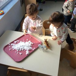 Cadence Academy Preschool