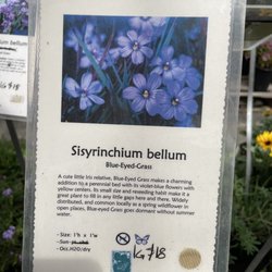 Yerba Buena Nursery